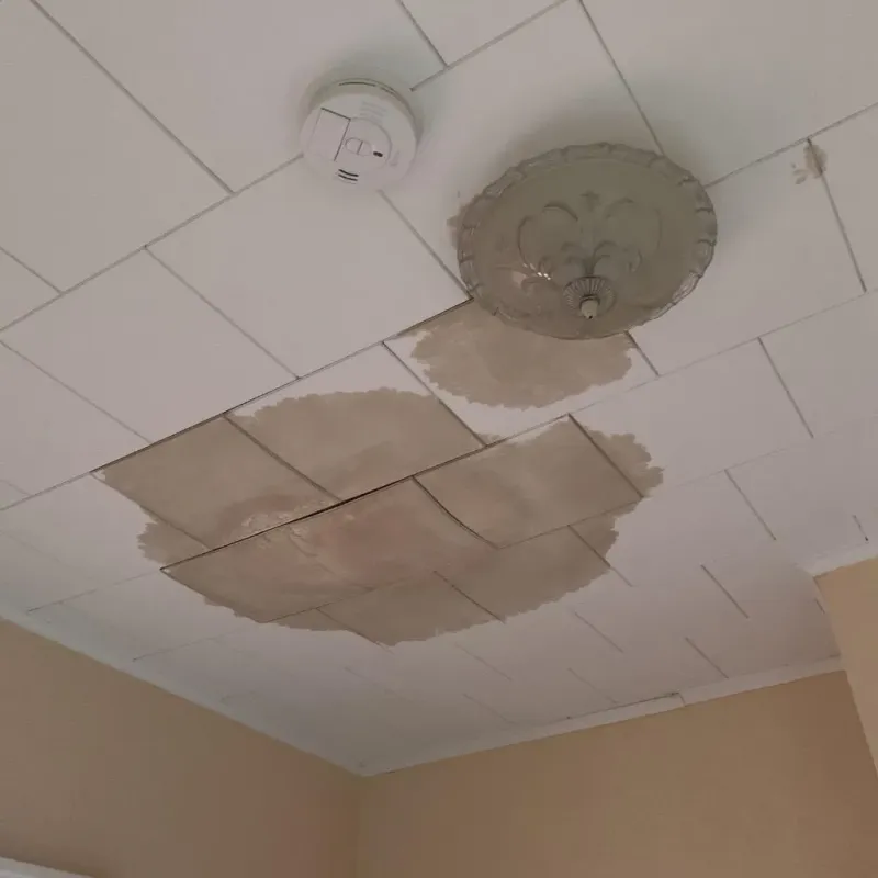Ceiling Water Damage Repair in Houma, LA
